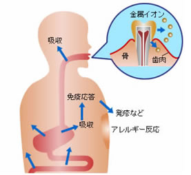 εͤʪζ°륮