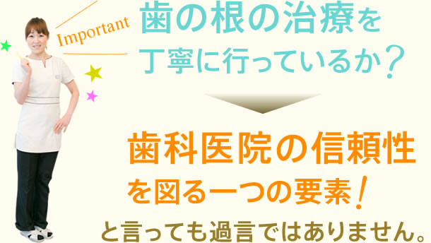 歯の根の治療を丁寧に行っているかどうかは、その歯科医院の信頼性を図ることのできる一つの要素と言っても過言ではありません。