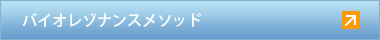 Х쥾ʥ󥹥᥽å