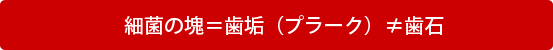 ٶݤβʥץ顼≠